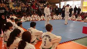 Apoyo al "Torneo Provincial de Taekwondo 2022- Semana de mayo" - Diario El Paso